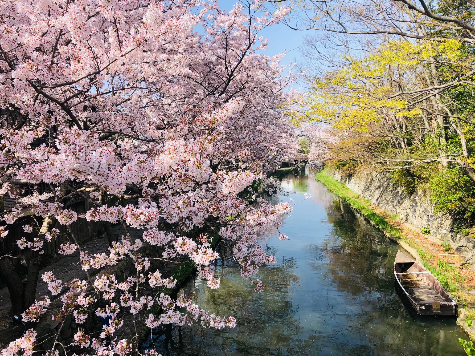 今さらですが・・・。