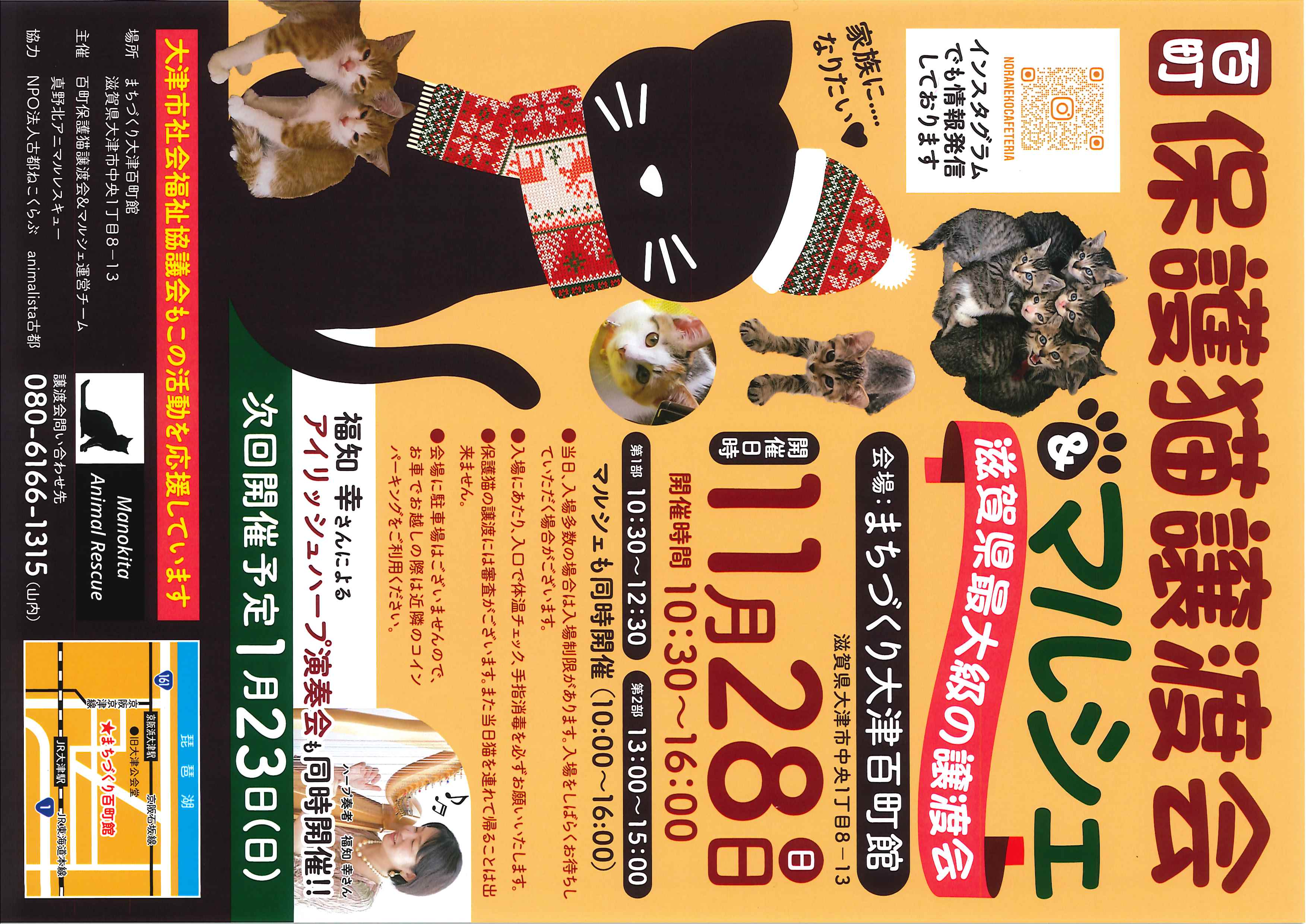 大津市で保護猫譲渡会が開催されます！